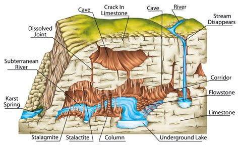 Caves Most Commonly Form In ________.