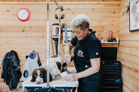 Caws4Paws Dog Grooming services