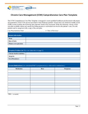 Ccm Care Plan Template