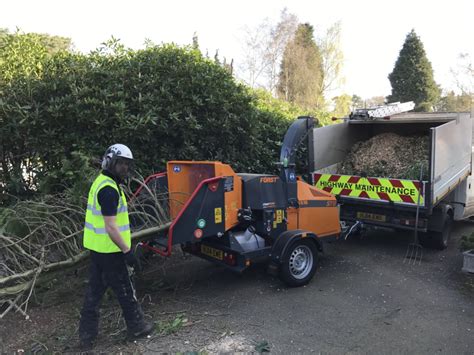 Cedardale Tree Surgeons and Arboricultural Specialists