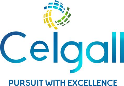 Ceigall India limited