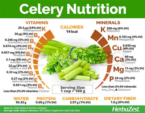 Celery Nutrition Chart