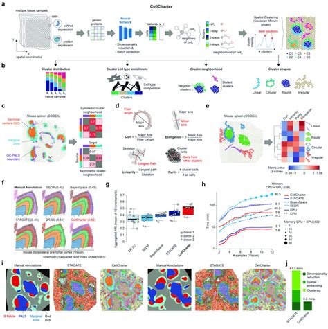 Cell Charter