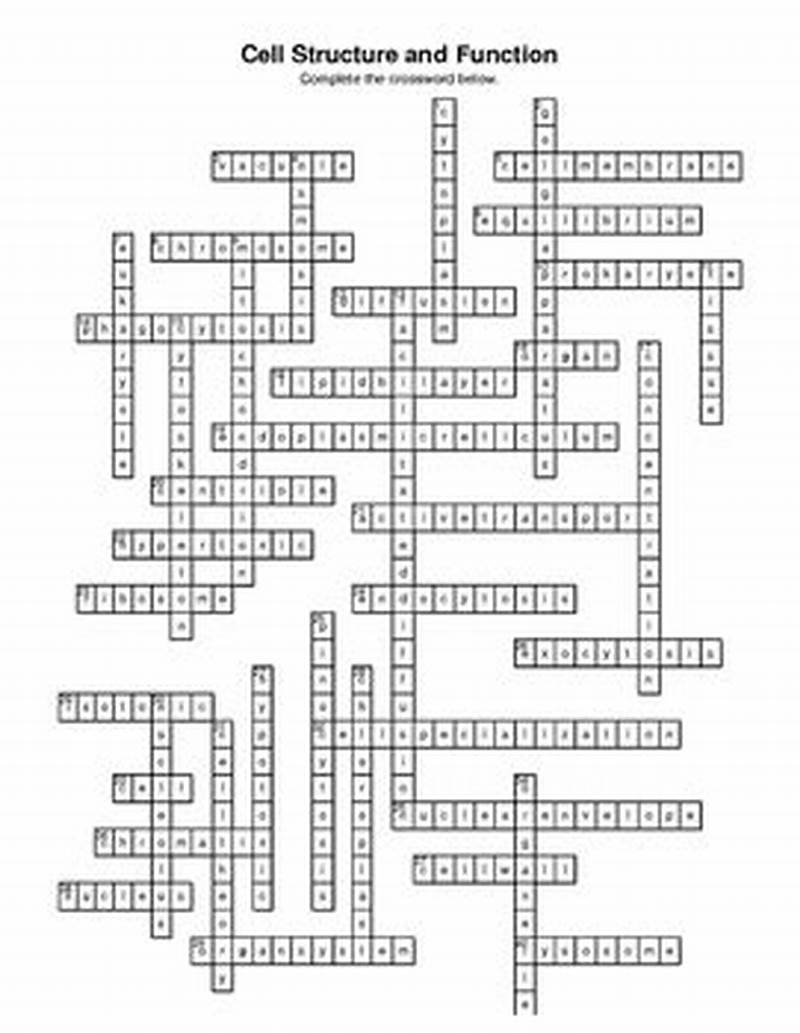 Cell Structure And Processes Crossword Answer Key