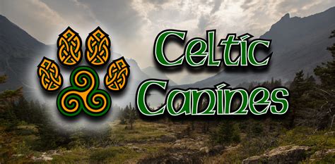 Celtic Canines Training