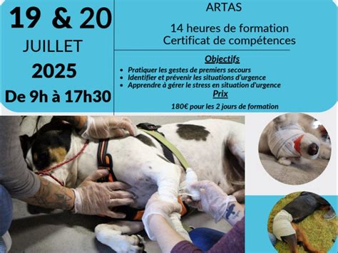 Centre canin toi mon ami à Artas