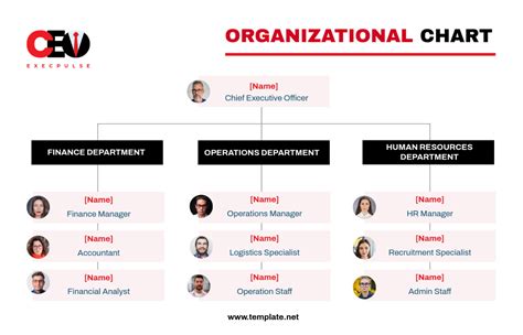 Ceo Organizational Chart