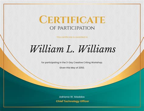 Certificate Participation Template