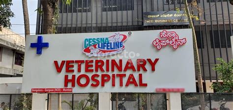 Cessna Lifeline Veterinary Hospital Hosur Main Road