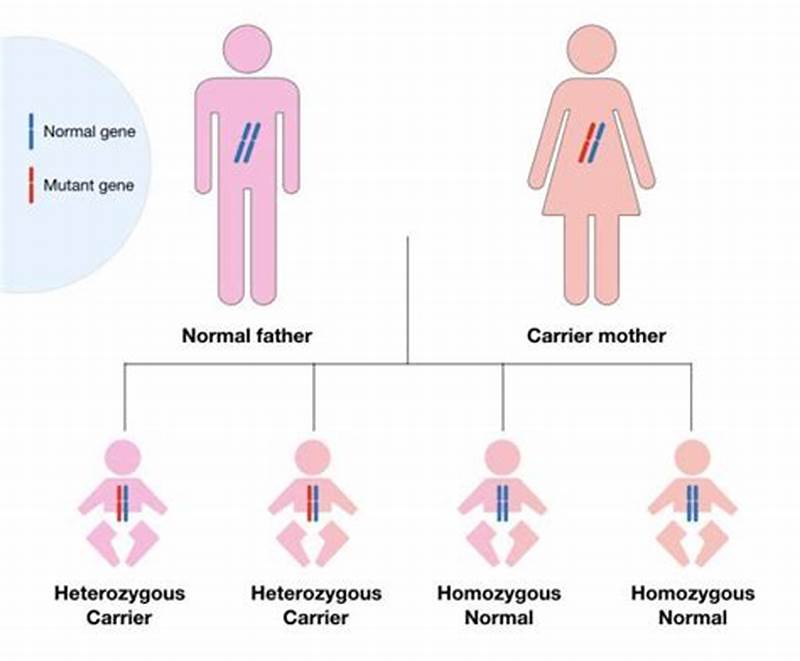 Cf Inheritance Pattern