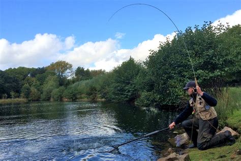 Chalk Springs Trout Fishery
