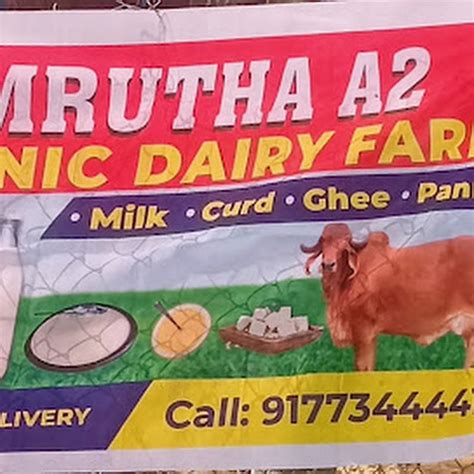 Chanda dairy farm