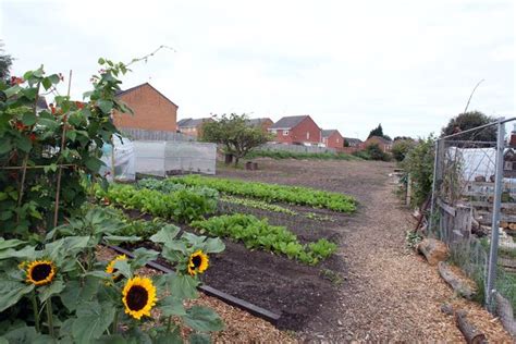 Chapel House Farm Allotments