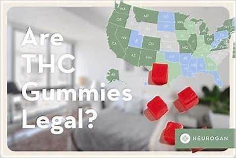 Charlotte's Web.com CBD Gummies: A Comprehensive Guide to Benefits, Science, and User Reviews
