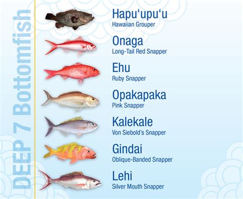 Chart Edible Hawaiian Fish