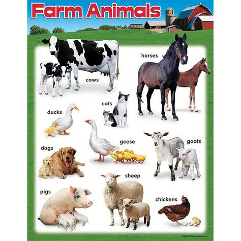 Chart Of Farm Animals