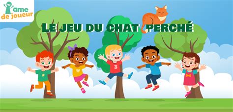 Chat perche à Marck