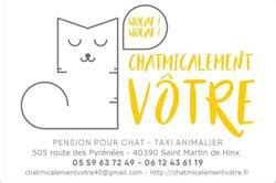 Chatmicalement Vôtre à Saint-Martin-de-Hinx