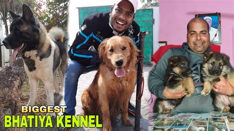 Chaudhary Dog Kennel