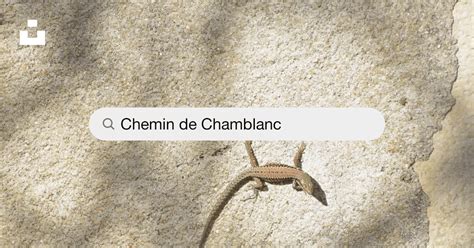 Chemin de Chamblanc à Valgorge