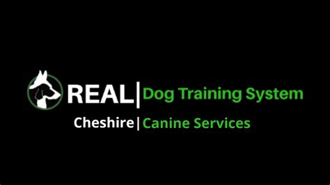 Cheshire Canine Services REALDogTraining