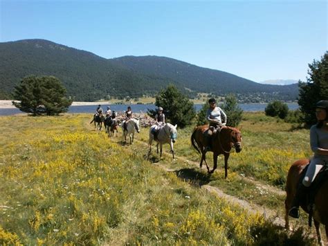 Cheval Rando à Matemale