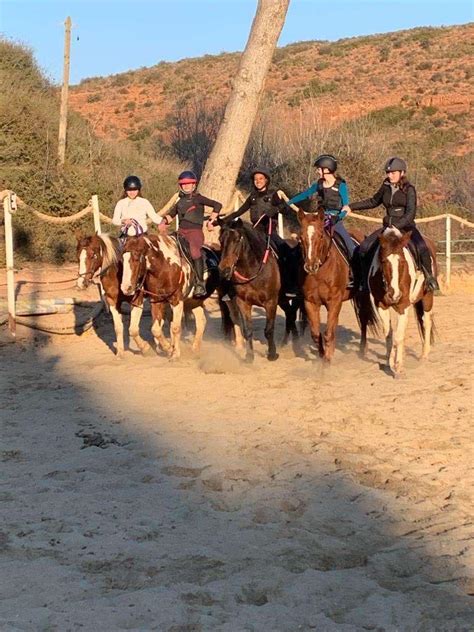 Cheval et Nature à Vitrolles