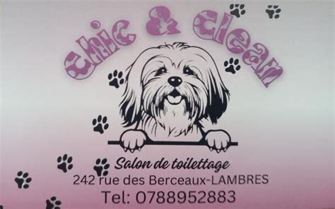 Chic & Clean à Lambres