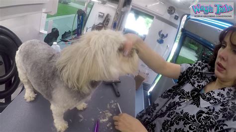 Chic Tails Mobile Dog Grooming