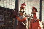 Chicken Run 123Movies