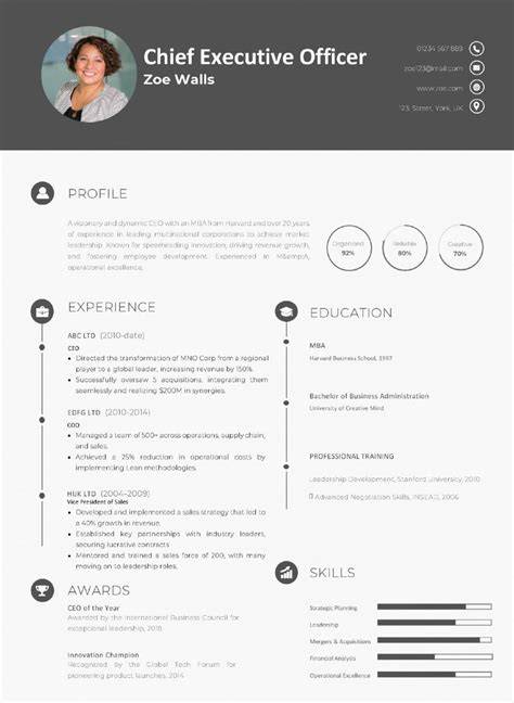 Chief Executive Officer Cv Template