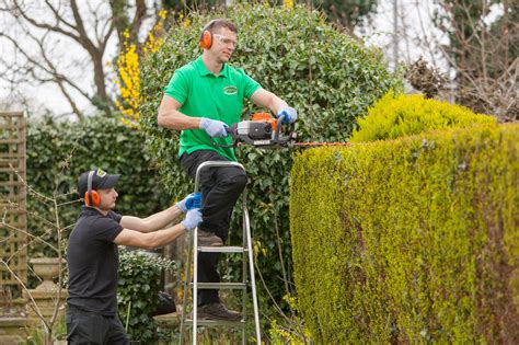 Chimneys and Chives Garden Services