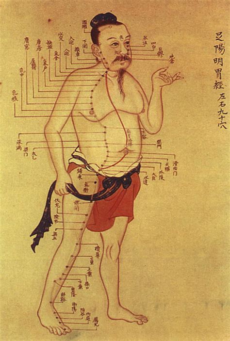 Chinese Acupuncture & Massage