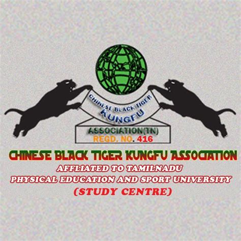 Chinese Black Tiger Kungfu Associates