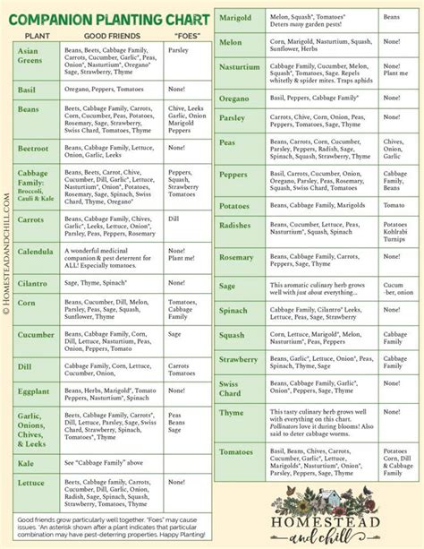 Chives Companion Planting Chart