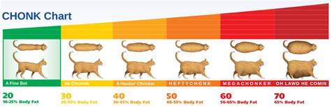 Chonk Chart Cats