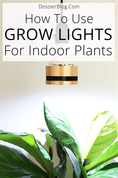 Choose the right type of grow lights
