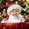 Christmas-Trees
