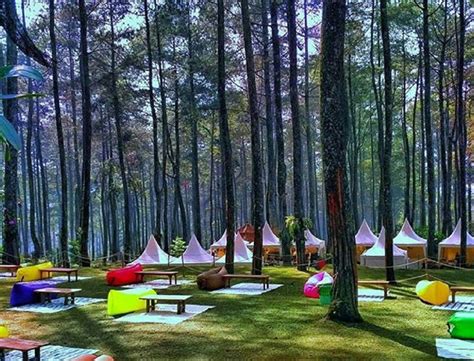Cikole Lembang Camping indonesia