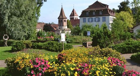 City-Avo à Avolsheim