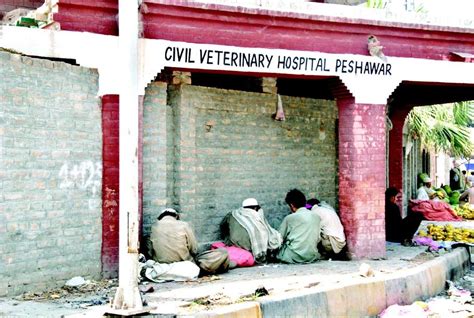 Civil Veterinary Hospital, Sarhali Kalan,Punjab