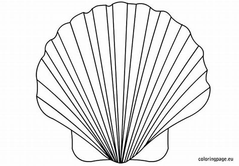 Clam Shell Printable