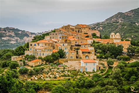 Claret à L'Île-Rousse