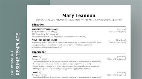 Classic Resume Template Google Docs