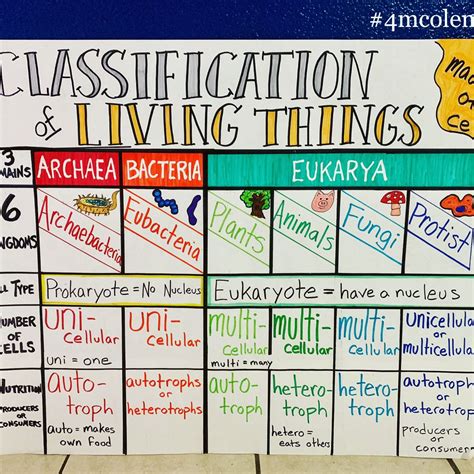 Classification Of Living Things Chart