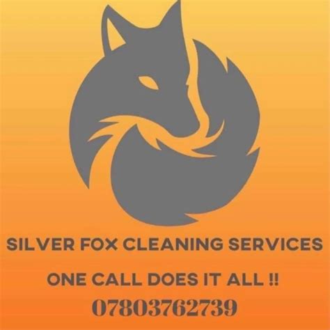 CleanerFox Cleaning Services