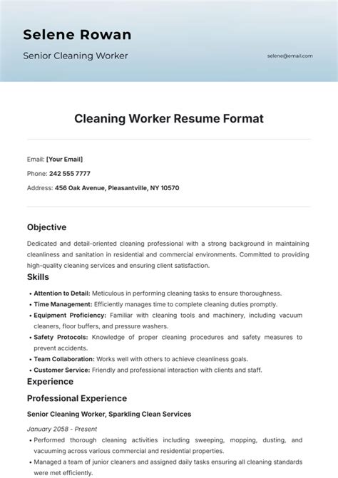 Cleaning Resume Template