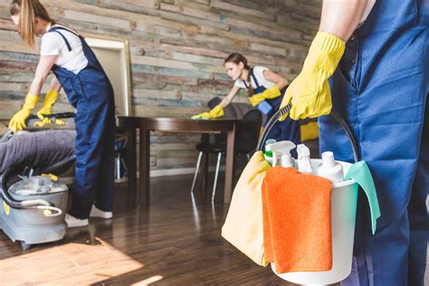 Cleaning and Property Maintenance Services