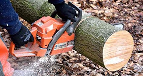 Clear Cut Tree and Landscape Services Leeds