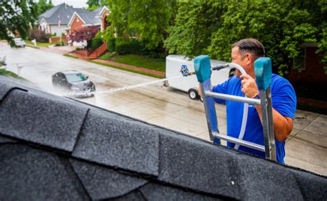 Clearview Roof Cleaning & Moss Removal